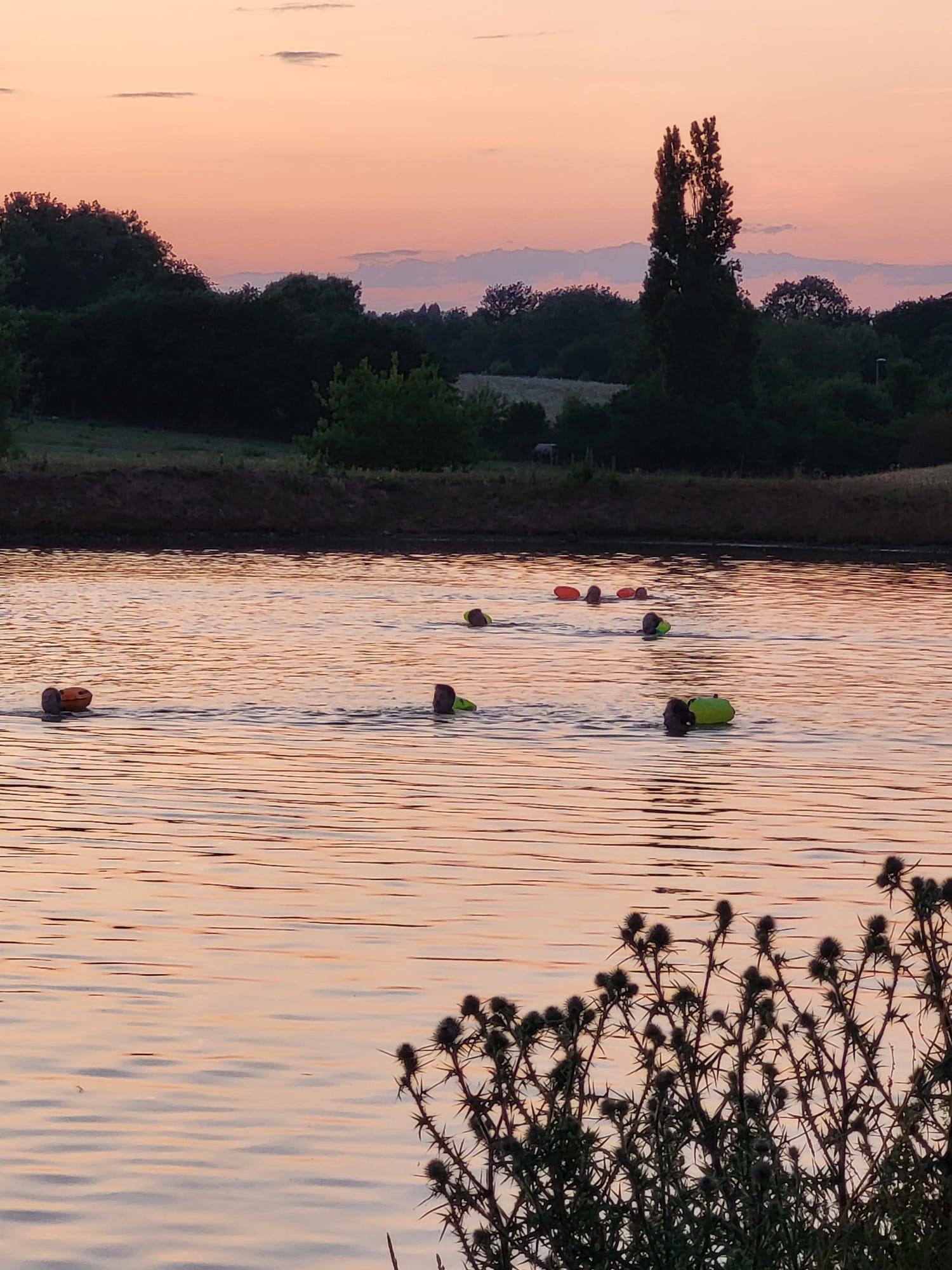 Swimmers preparing for winter open water swimming sessions