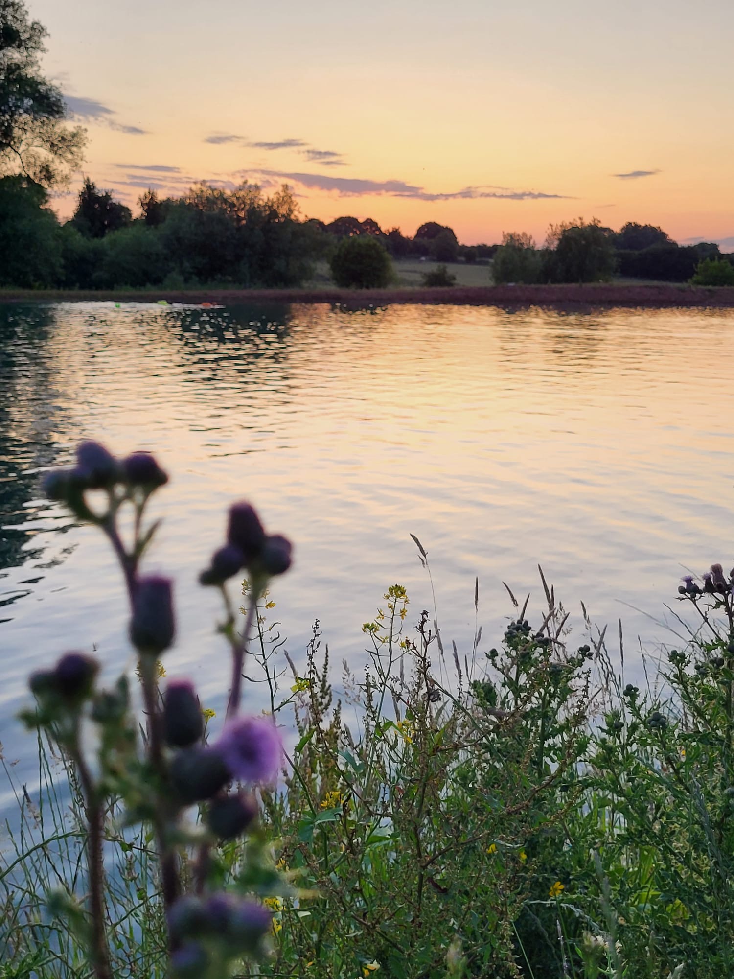 Swimmers enjoying open water swimming at Lakeside Adventures